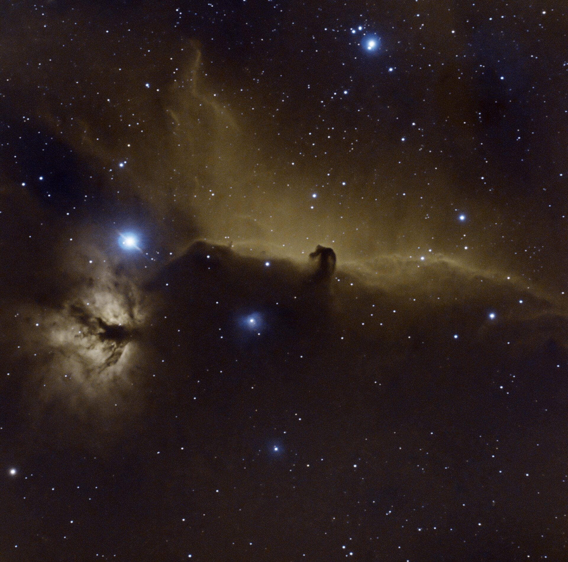Horsehead Nebula