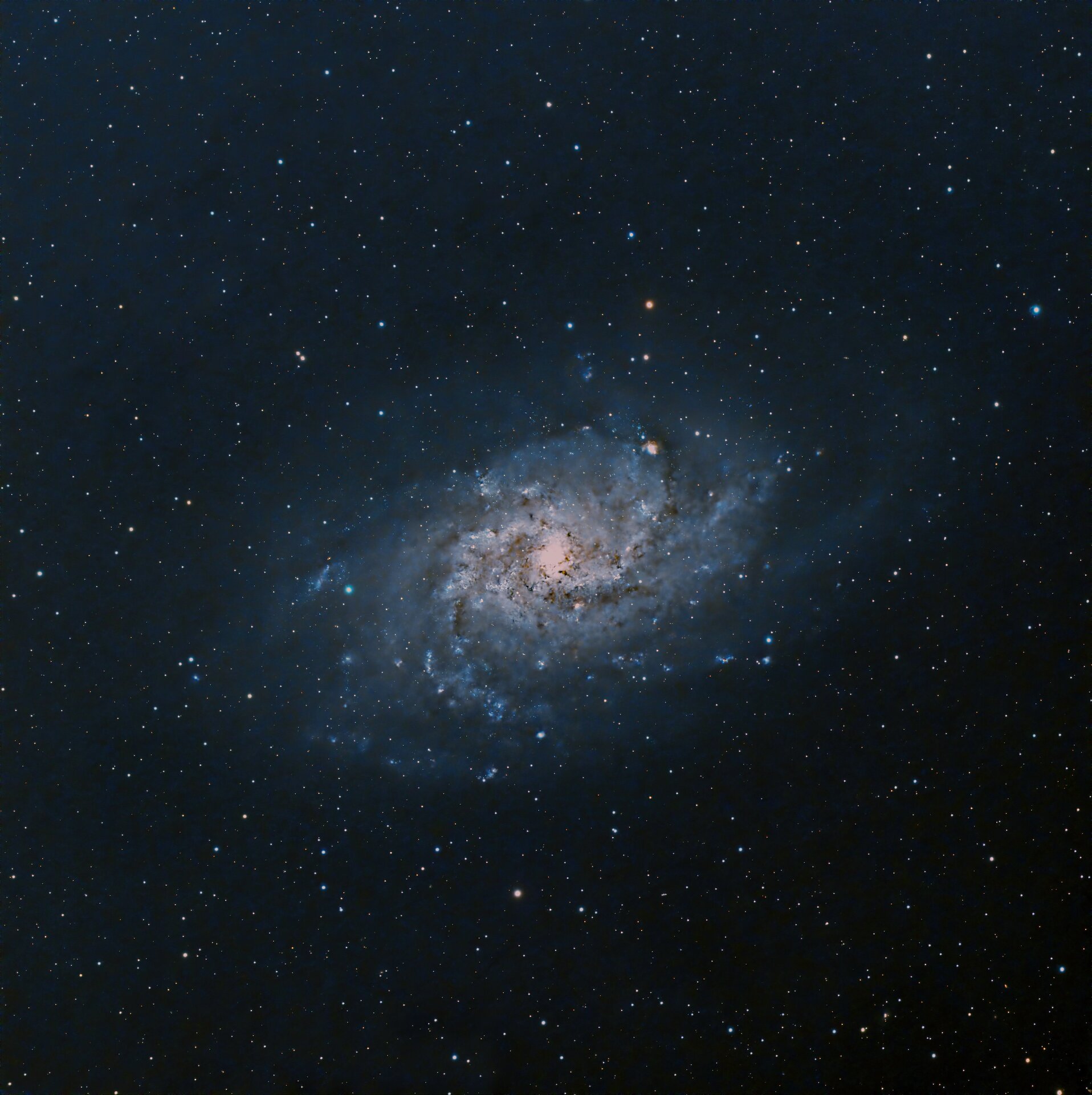 Triangulum Galaxy